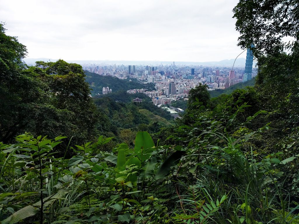 elephant mountain view