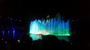 Disney World Fantasmic show 