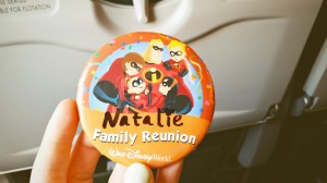 Disney world Family Reunion pin 